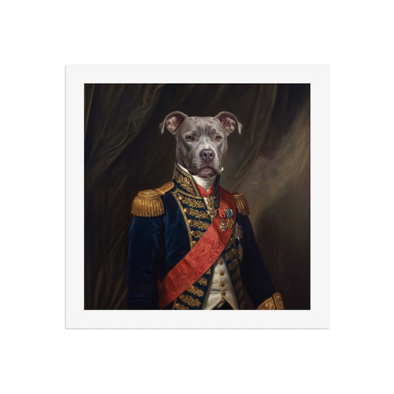 Baroque General Pet Portrait Framed Picture 10x10 White Frame