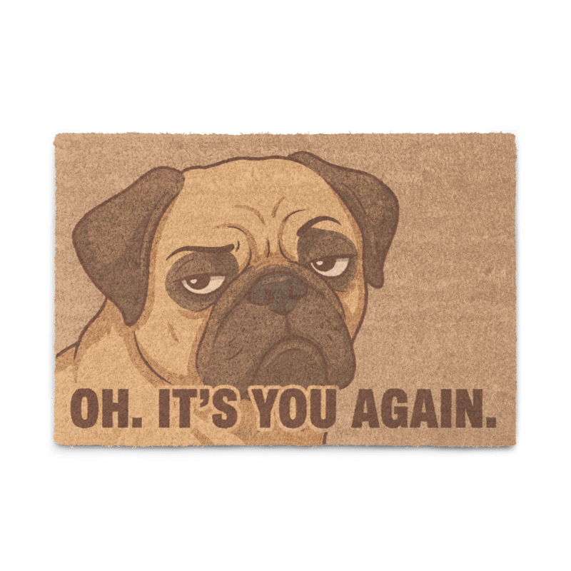 Oh It's You Again Doormat